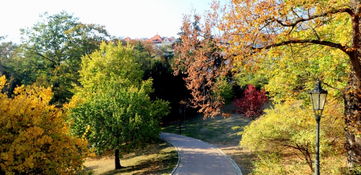 Vila na prodej na Vinohradech 99m