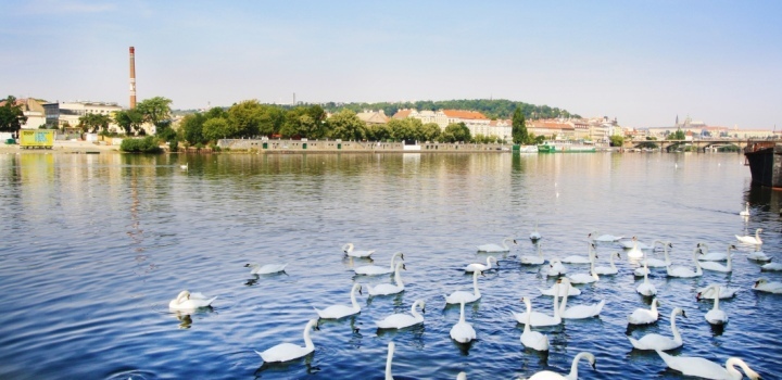Mezonetový byt s terasou Praha 2 - 204m