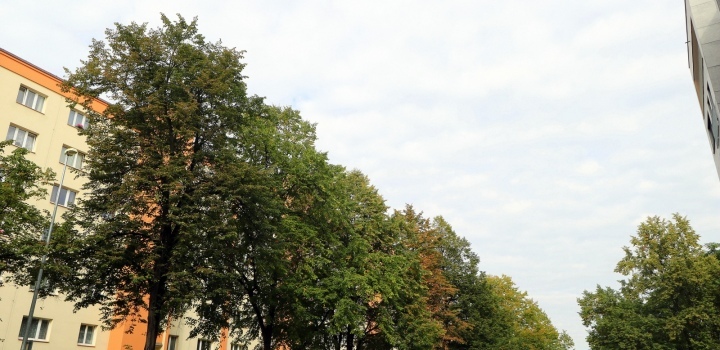 Obchodní prostor na pronájem Praha