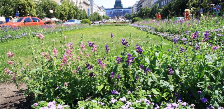 Byt na pronájem Praha 1 - 115m