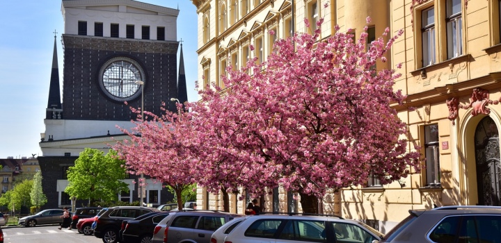 Pronájem mezonetového bytu 3+kk, 136 m2 –