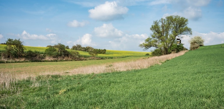 Prodej lukrativního stavebního pozemku, Praha