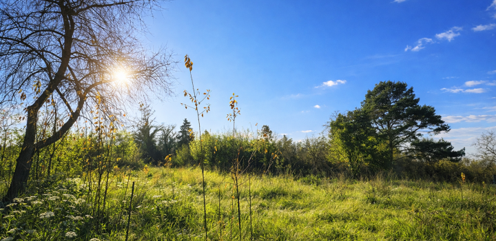 Prodej stavebního pozemku Troja, Praha 8 - 594