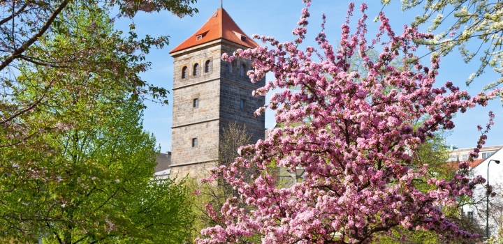 Prostorný byt - Praha 1 - Petrská čtvrť - 120m