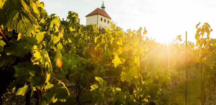 Pronájem prestižního obchodního prostoru