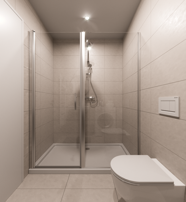 Luxury apartment for sale Prague 3 - 67m 8