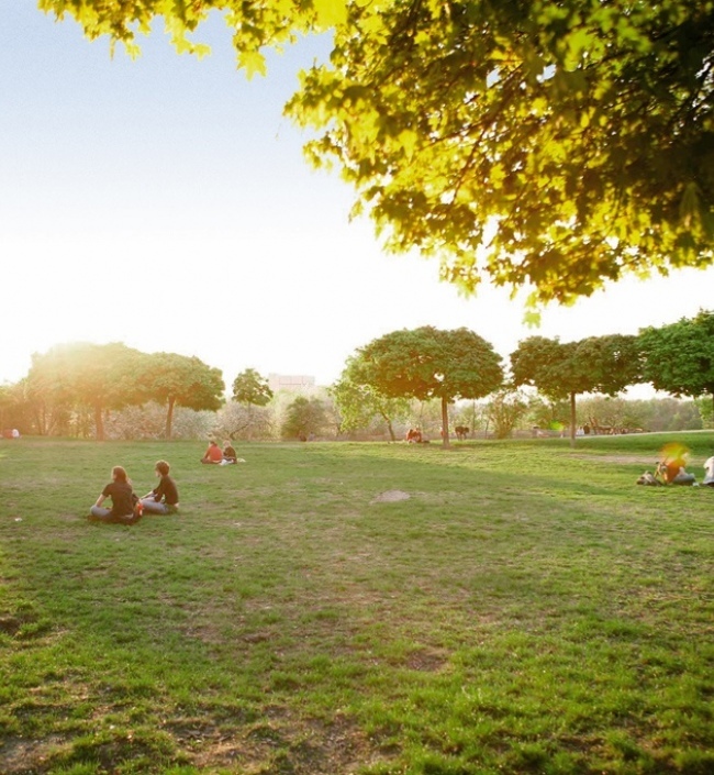 Luxusní byt u Vítkova 37m 0