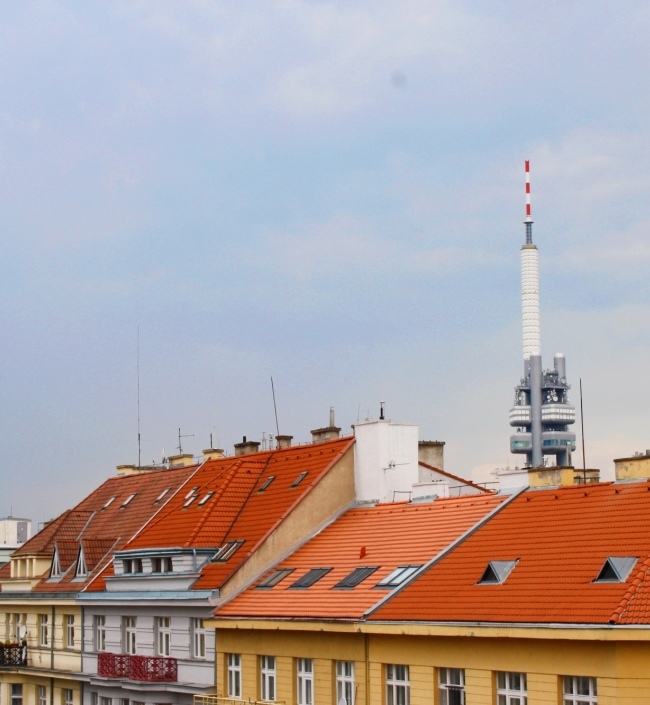 Luxury apartment Flora 109m 5