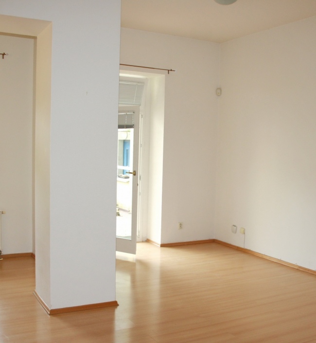 Luxury apartment Stromovka 120m 1