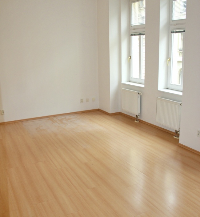 Luxury apartment Stromovka 120m 4