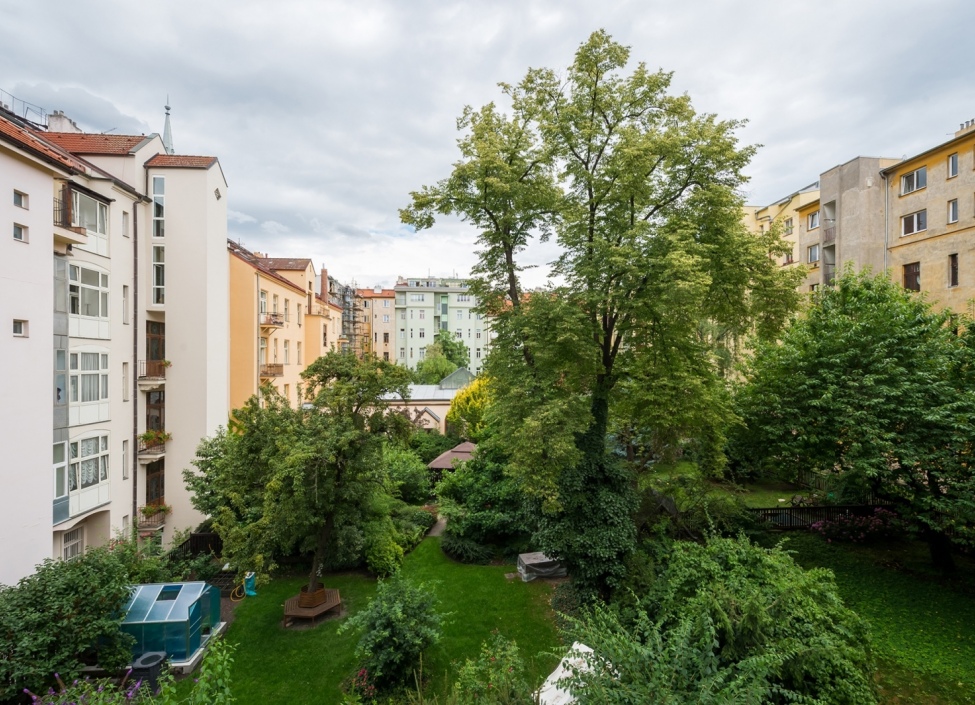 Luxury apartment in Prague 2 - 70m 1