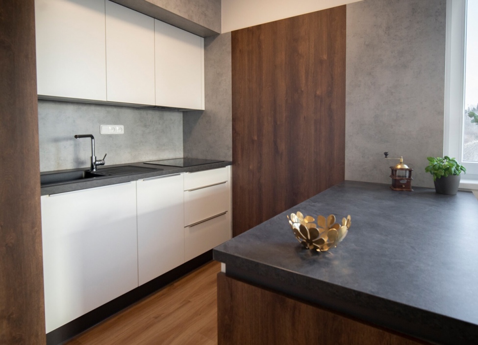 Apartment for rent 4 + kk, Prague - Barrandov - 110m 1