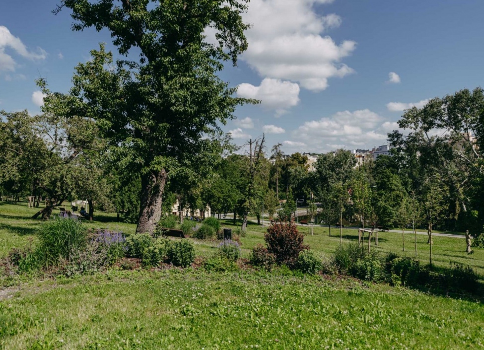 Prodej nebytové jednotky, Praha 6 - Střešovice - 174m 0