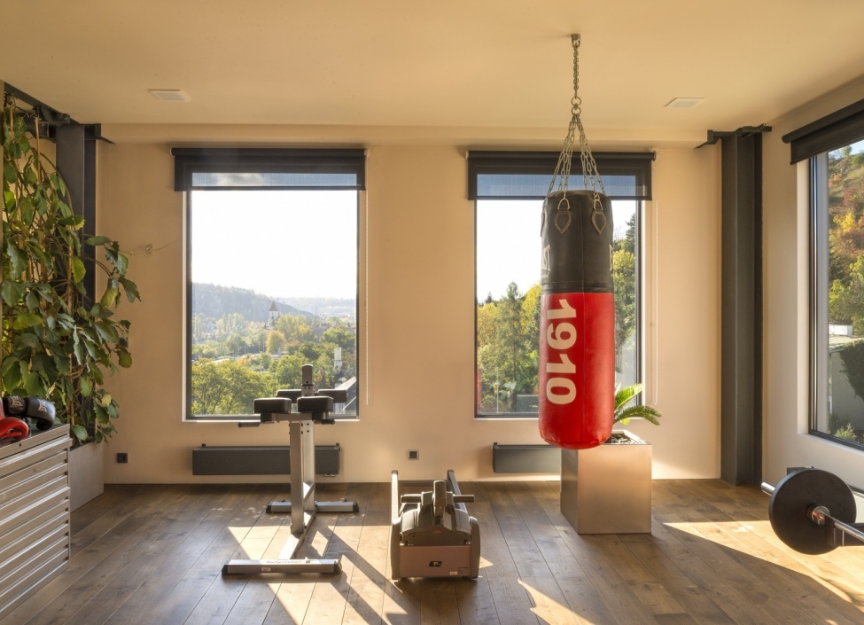 Loft with terrace Prague 5 / 豪华阁楼公寓出售 7
