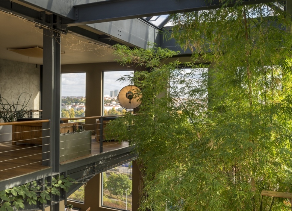 Loft with terrace Prague 5 / 豪华阁楼公寓出售 5