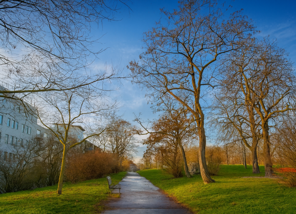 Prodej bytu 2+kk s balkonem Žižkov, Praha 3 - 47 m2 10
