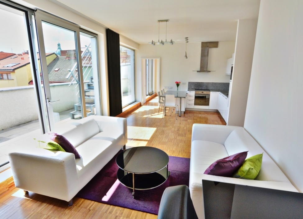 Apartment for sale Prague 3 - 195m 1