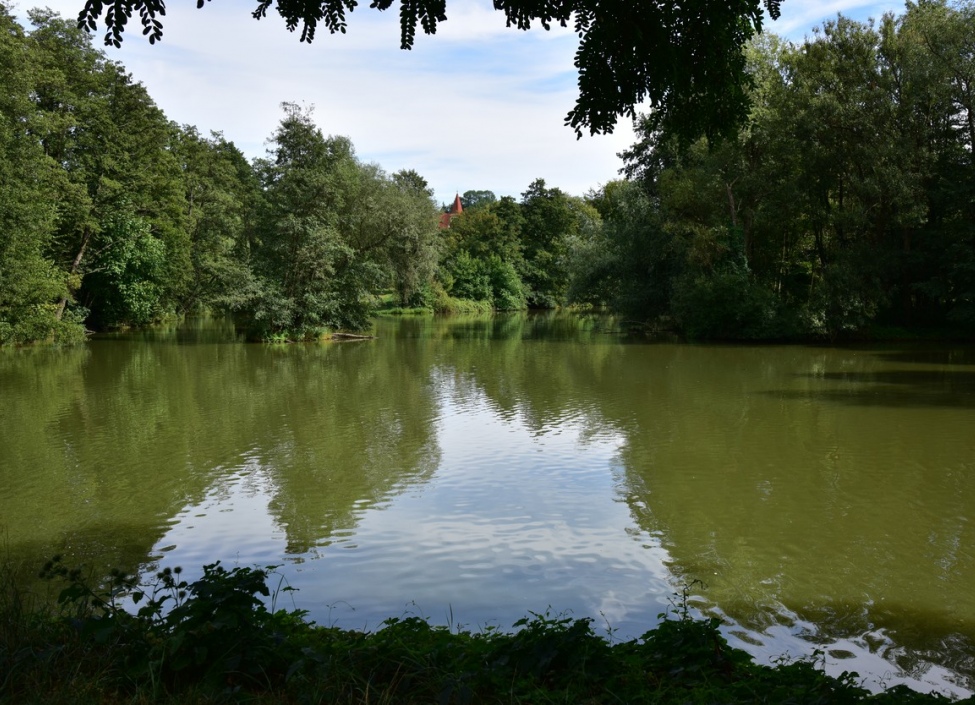 Prodej bytu 2+kk - Praha 10, Hostivař - 49 m2 6