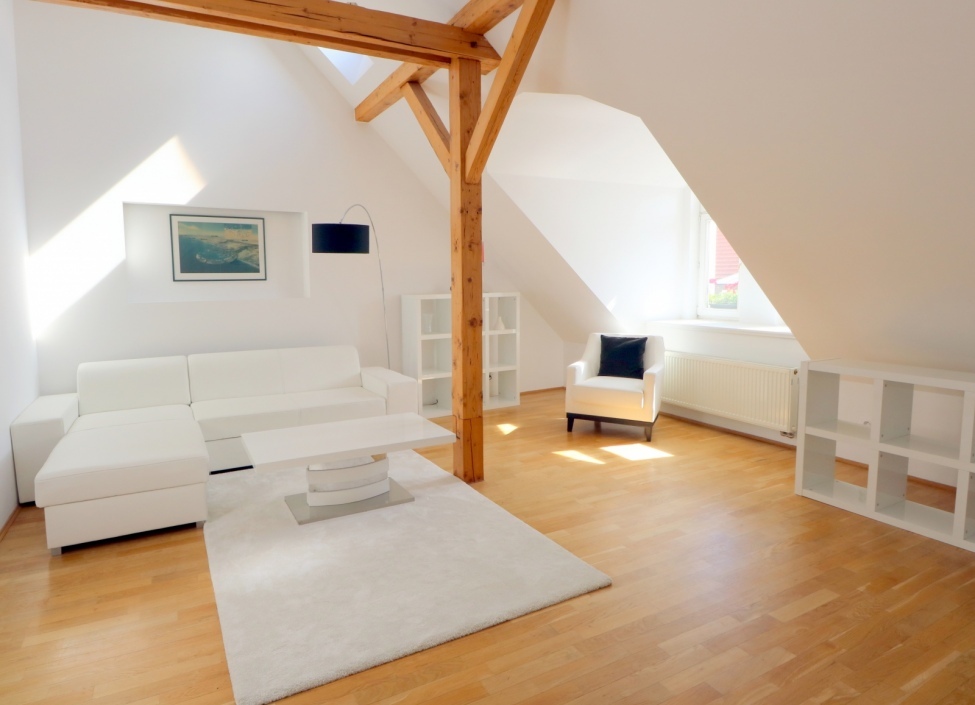 Luxury apartment for rent in Prague 1 - 92m 1