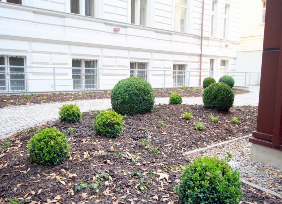 Apartment for rent Prague 1 - 42m 0