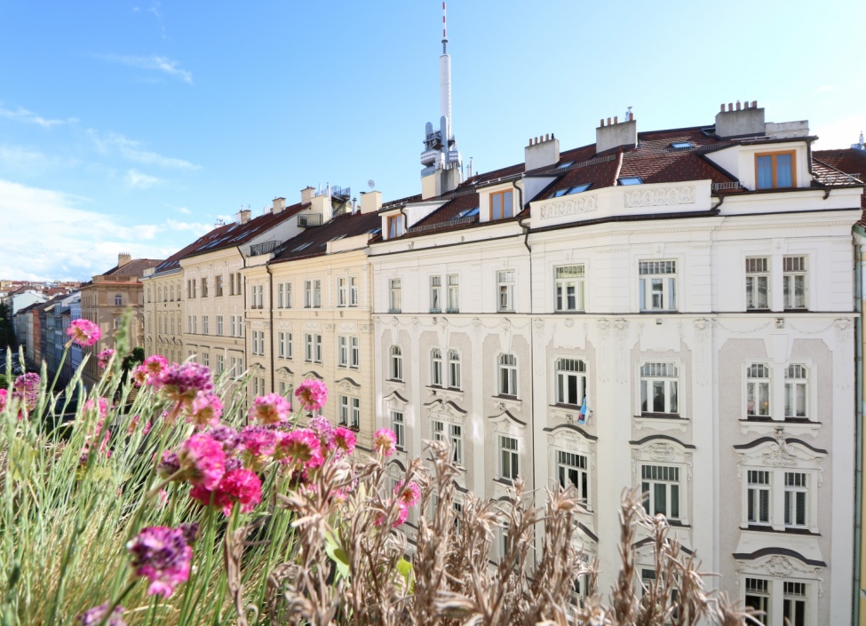 Prodej bytu 2+kk (3+kk), Praha 3 Žižkov - 69m2 0