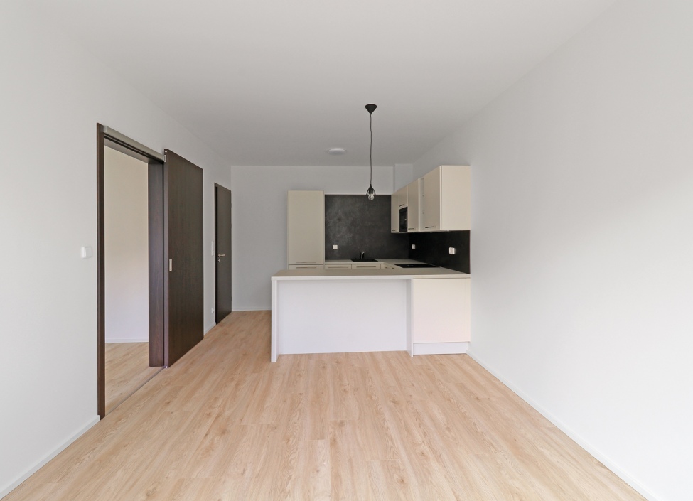 Apartment for rent 2 + kk, Prague - Barrandov - 55m 1