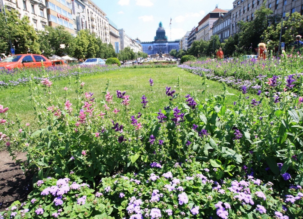 Luxusní byt s terasou Praha 1 - 122m 0