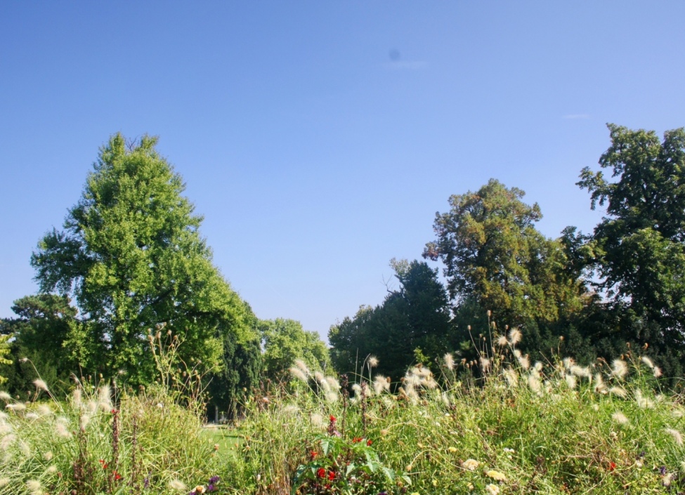 Luxusní mezonet 162m Letná 6