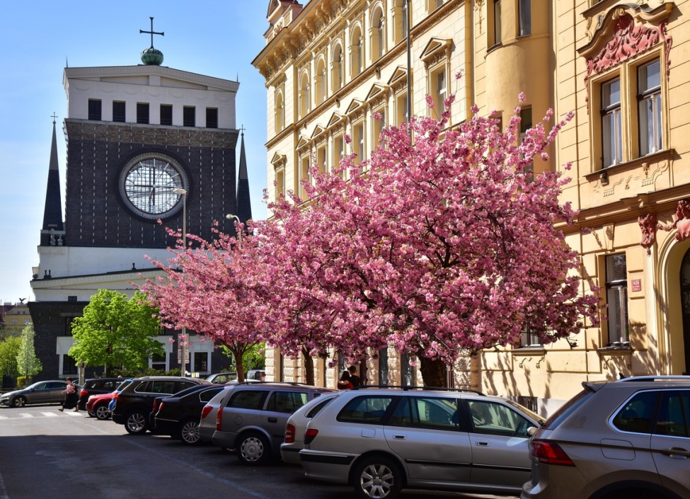 Luxury apartment 3+kk with terrace for sale, Prague 3 - Žižkov 5