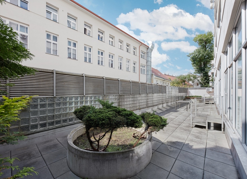 Kancelářské prostory k pronájmu, Praha 1 - 300 m2 3