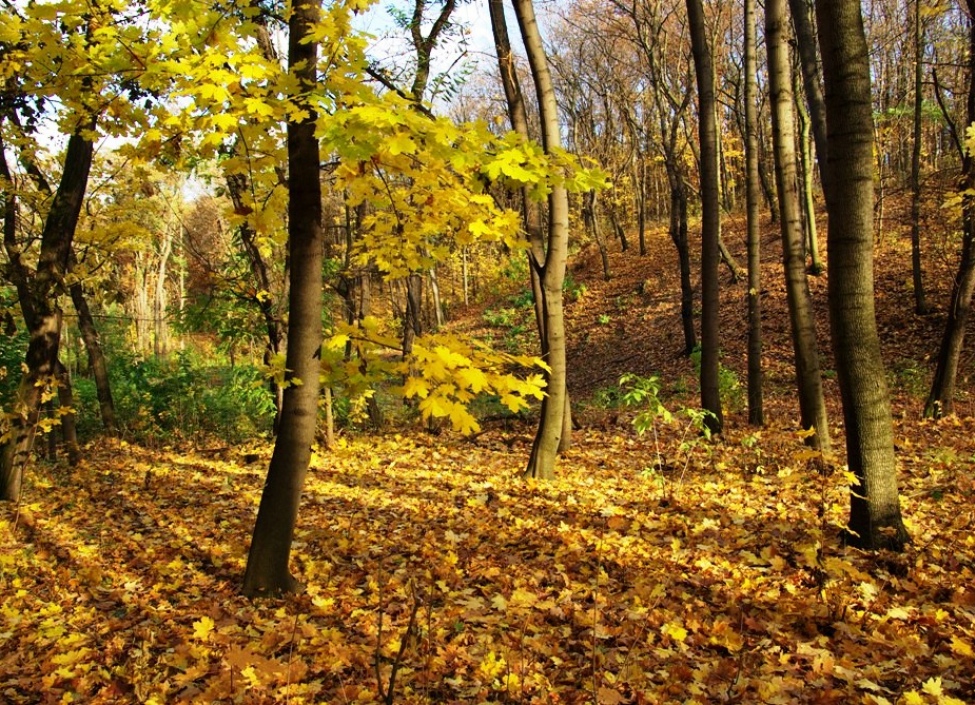 Investiční byt 2+kk na prodej, Praha 4, Michle - 60 m 4