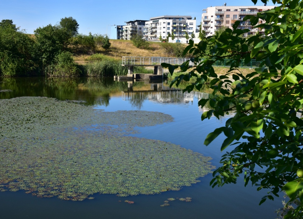 Investiční 1+kk na prodej, Praha 4 - Chodov, 23 m 5