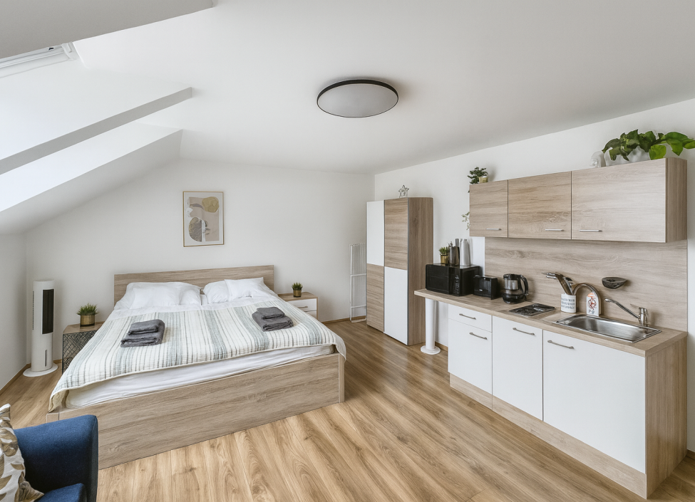 Luxusní byt k prodeji - Praha 1, Nové Město - 31m2 3