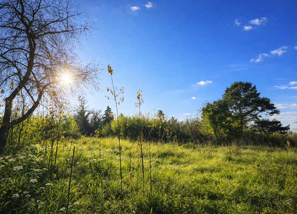 Prodej stavebního pozemku Troja, Praha 8 - 1069 m² 3