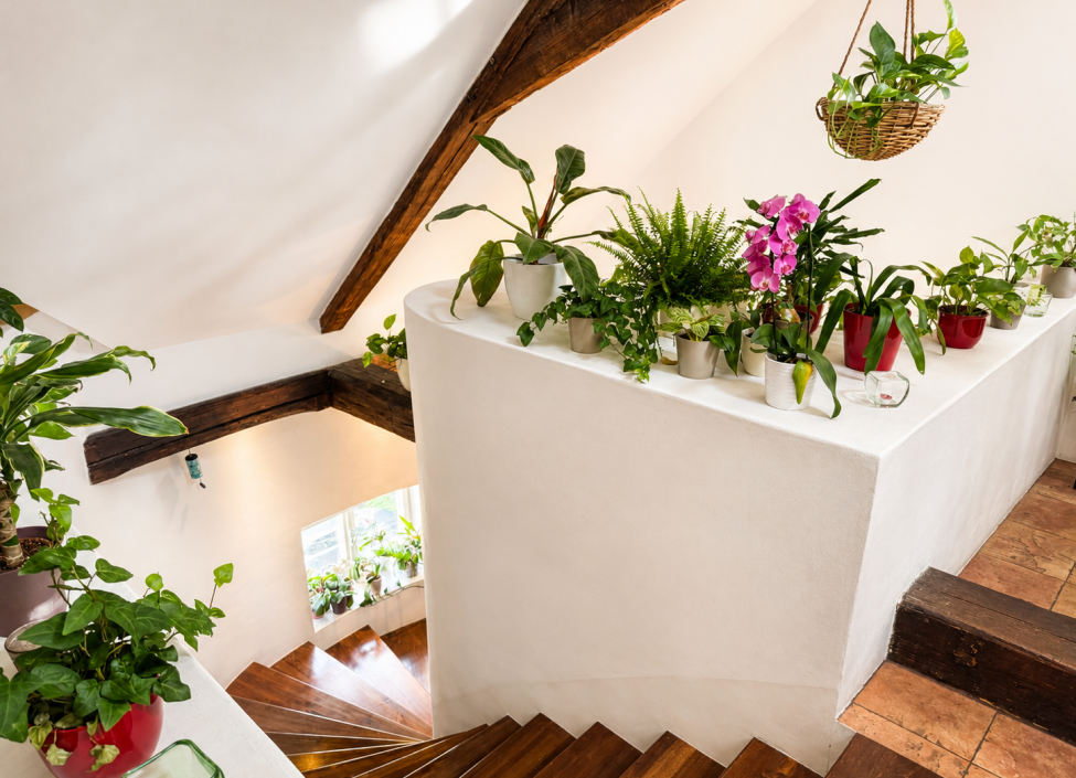 Pronájem bytu 2+kk, Staré Město, Praha 1 - 110 m² 8