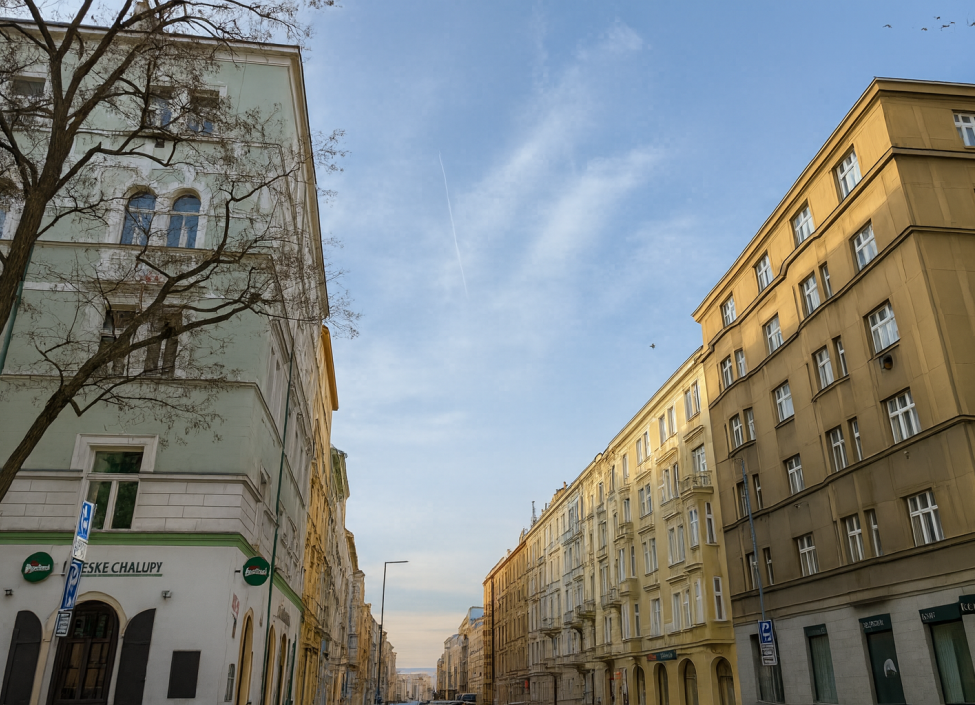 Prodej bytu 2+kk s balkonem Žižkov, Praha 3 - 47 m2 5