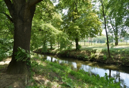 Obchodní prostor na prodej Libeň 55 m²