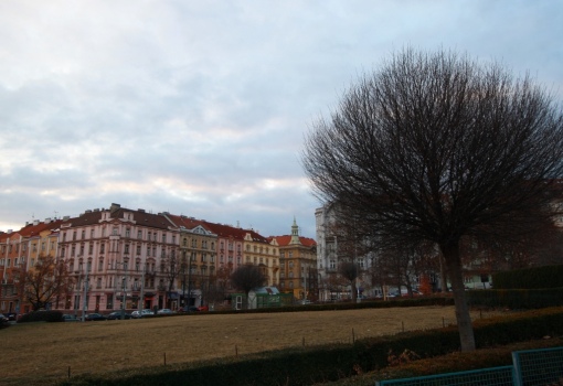 Mezonet Vinohrady 119 m²
