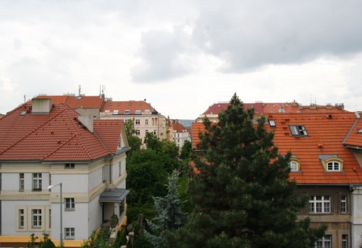 Vila Vinohrady 560 m²
