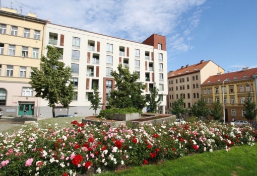 Byt k pronájmu Praha 3 - 31 m²