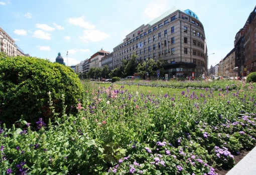 Luxusní byt Praha 1 - 35 m²