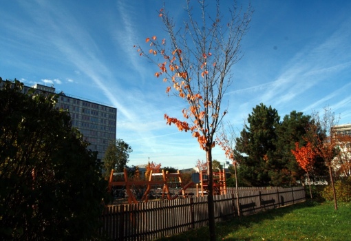 Obchodní prostor Karlín 84 m²